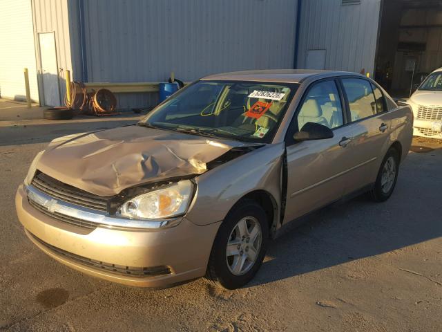 1G1ZT54865F110866 - 2005 CHEVROLET MALIBU LS 金色 照片 2