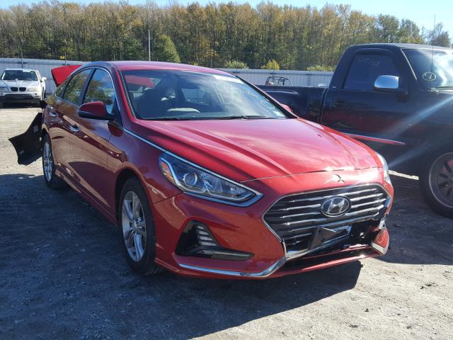 5NPE34AF7JH599538 - 2018 HYUNDAI SONATA SPO RED photo 1