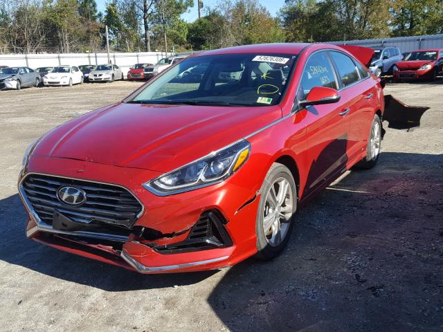 5NPE34AF7JH599538 - 2018 HYUNDAI SONATA SPO RED photo 2