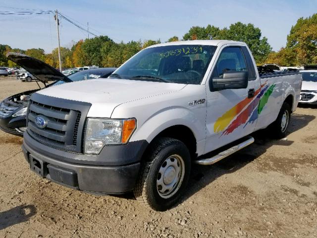 1FTMF1CM1BKD83894 - 2011 FORD F150 WHITE photo 2