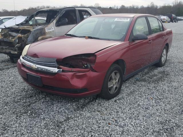 1G1ZT54885F247937 - 2005 CHEVROLET MALIBU LS Қызыл фото 2