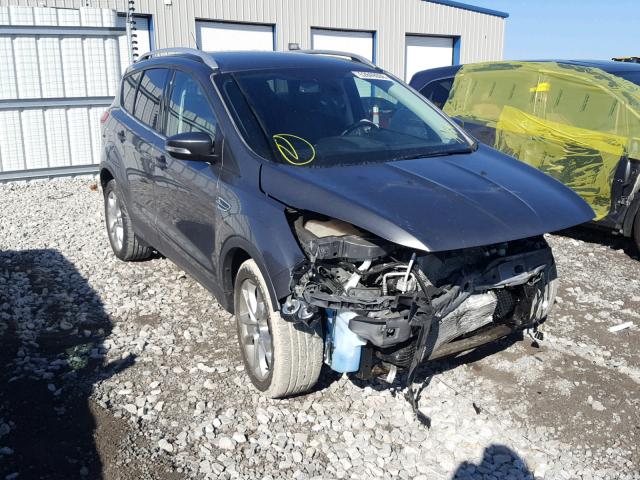 1FMCU0J99EUC36155 - 2014 FORD ESCAPE TIT GRAY photo 1