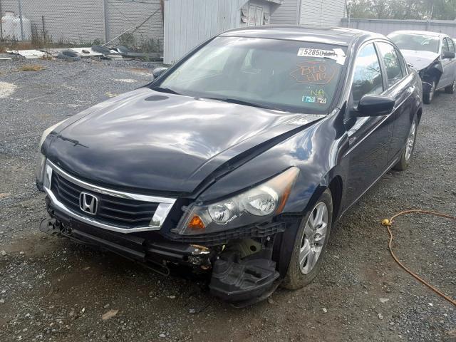 5KBCP36819B501812 - 2009 HONDA ACCORD EXL BLACK photo 2