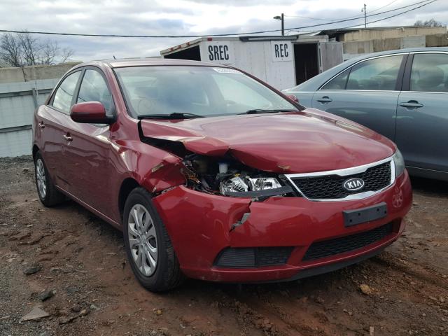 KNAFU4A20B5326096 - 2011 KIA FORTE EX RED photo 1