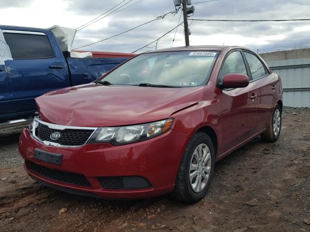 KNAFU4A20B5326096 - 2011 KIA FORTE EX RED photo 2