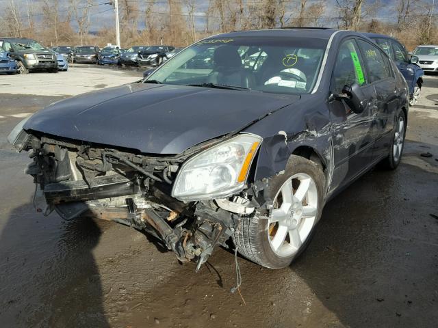 1N4BA41EX7C831916 - 2007 NISSAN MAXIMA SE GRAY photo 2