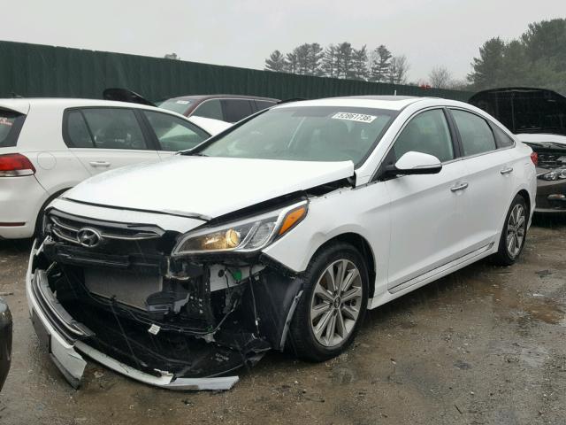 5NPE34AF9GH319126 - 2016 HYUNDAI SONATA SPO WHITE photo 2