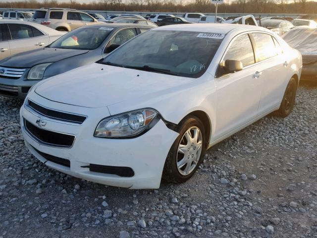 1G1ZA5EUXCF369178 - 2012 CHEVROLET MALIBU LS 白色 照片 2