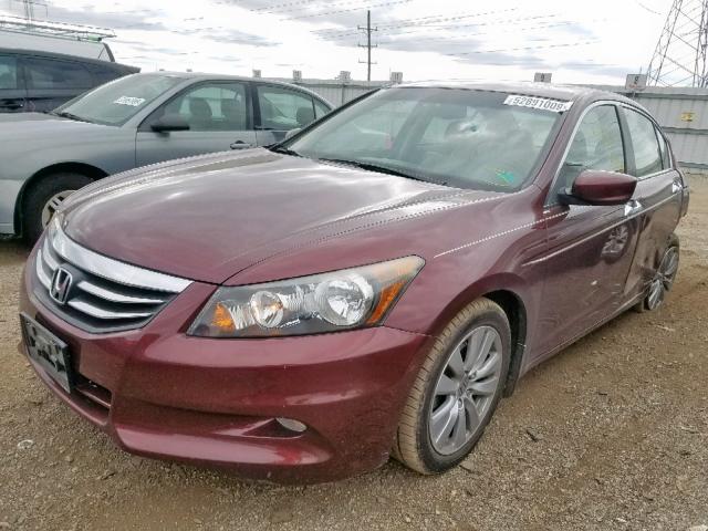 1HGCP3F80CA009059 - 2012 HONDA ACCORD EXL BURGUNDY photo 2