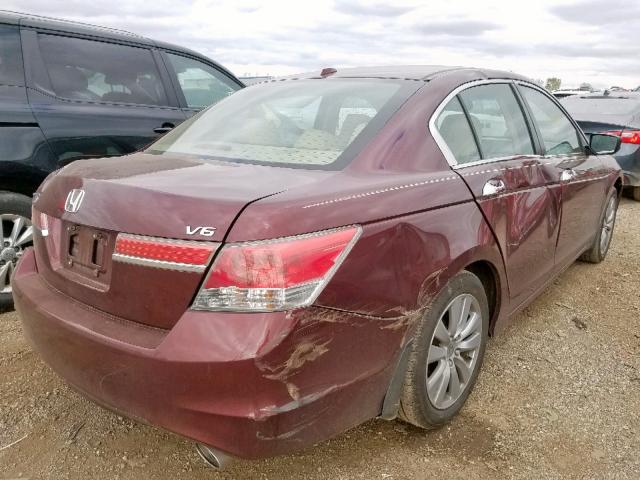 1HGCP3F80CA009059 - 2012 HONDA ACCORD EXL BURGUNDY photo 4