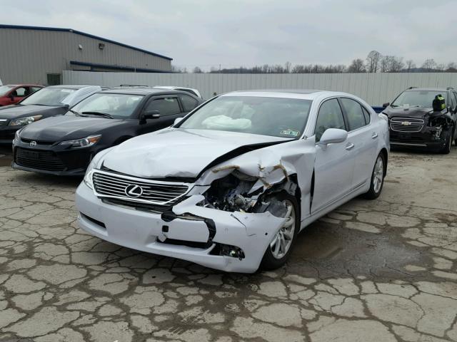 JTHBL46F285068719 - 2008 LEXUS LS 460 WHITE photo 2