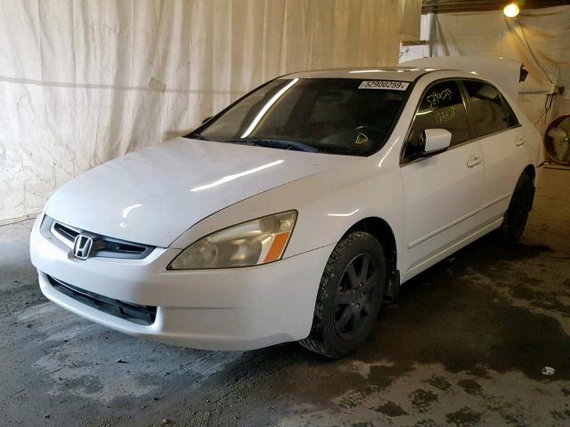 1HGCM66595A027577 - 2005 HONDA ACCORD EX WHITE photo 2