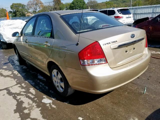 KNAFE221895662015 - 2009 KIA SPECTRA EX GOLD photo 3