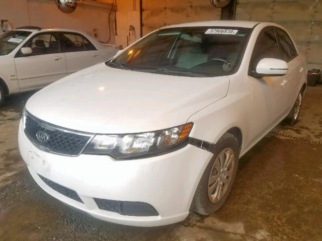 KNAFU4A24C5557648 - 2012 KIA FORTE EX WHITE photo 2