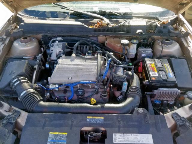 1G1ZT628X5F133687 - 2005 CHEVROLET MALIBU MAX 金色 照片 7