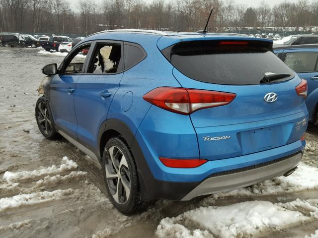 KM8J3CA24HU414203 - 2017 HYUNDAI TUCSON LIM BLUE photo 3