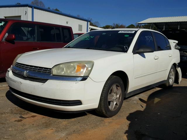 1G1ZT54865F168864 - 2005 CHEVROLET MALIBU LS 白色 照片 2