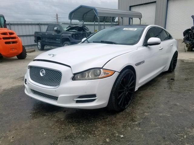 SAJWA1CB2BLV16017 - 2011 JAGUAR XJ BASE WHITE photo 2