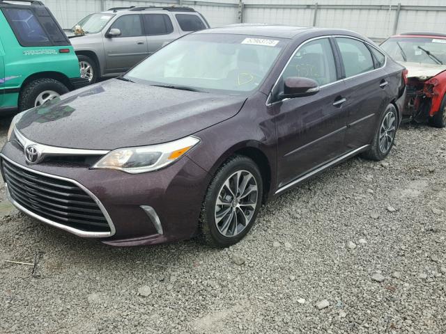 4T1BK1EB2GU237378 - 2016 TOYOTA AVALON XLE PURPLE photo 2
