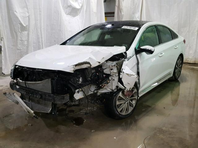 5NPE34AF3FH027955 - 2015 HYUNDAI SONATA SPO WHITE photo 2