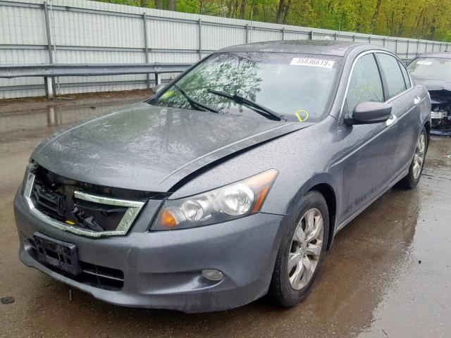 1HGCP36828A060800 - 2008 HONDA ACCORD EXL GRAY photo 2