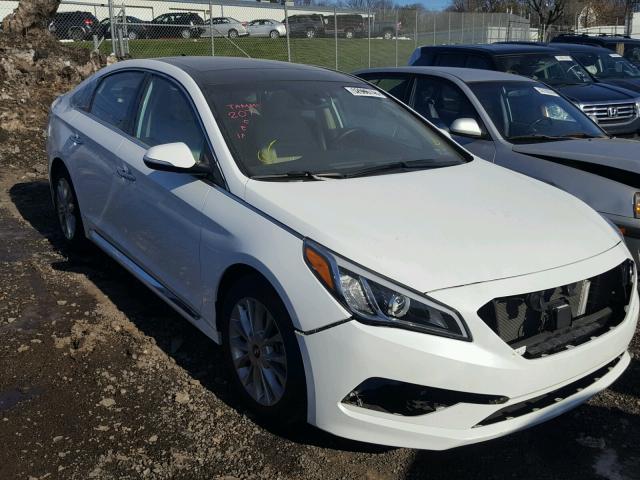 5NPE34AF3FH084480 - 2015 HYUNDAI SONATA SPO WHITE photo 1