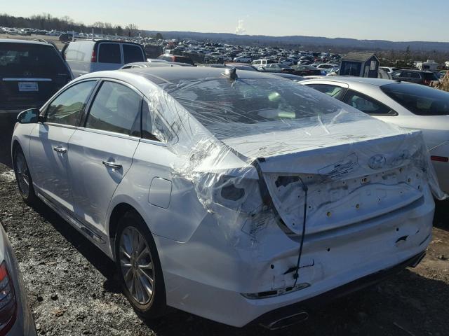 5NPE34AF3FH084480 - 2015 HYUNDAI SONATA SPO WHITE photo 3