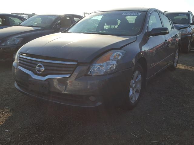 1N4CL21E59C109033 - 2009 NISSAN ALTIMA HYB GRAY photo 2