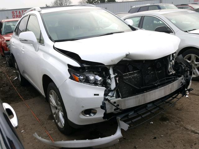 JTJBC1BA4A2411741 - 2010 LEXUS RX 450 WHITE photo 1