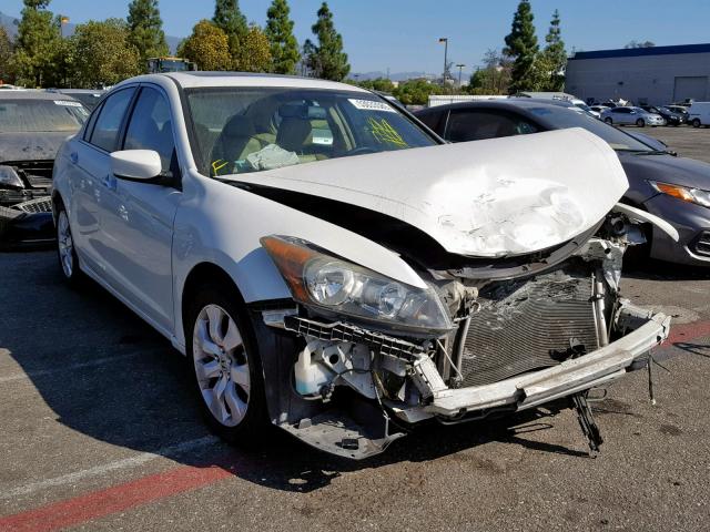 1HGCP36838A030799 - 2008 HONDA ACCORD EXL WHITE photo 1