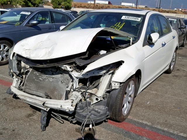 1HGCP36838A030799 - 2008 HONDA ACCORD EXL WHITE photo 2