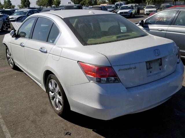 1HGCP36838A030799 - 2008 HONDA ACCORD EXL WHITE photo 3