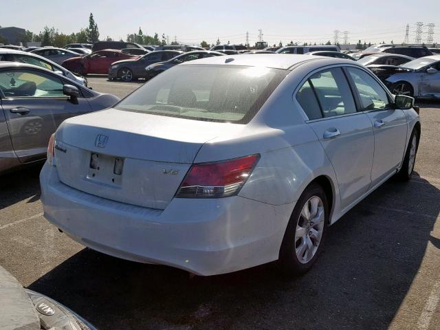 1HGCP36838A030799 - 2008 HONDA ACCORD EXL WHITE photo 4