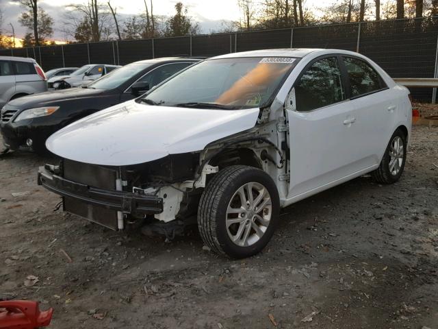 KNAFU4A21C5487090 - 2012 KIA FORTE EX WHITE photo 2