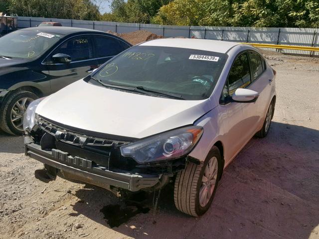 KNAFX4A85E5114827 - 2014 KIA FORTE EX WHITE photo 2