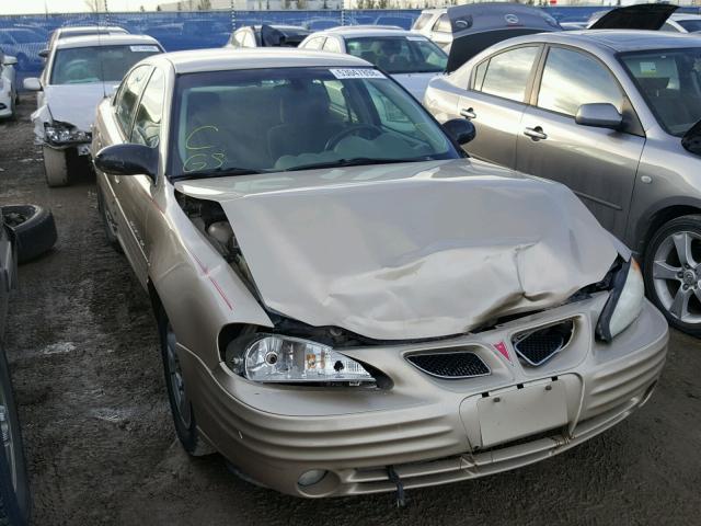 1G2NE52F82C129700 - 2002 PONTIAC GRAND AM S GOLD photo 1