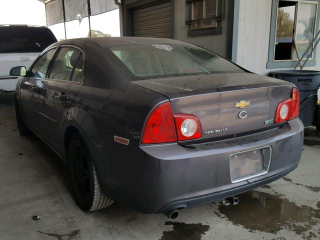 1G1ZC5E03A4160798 - 2010 CHEVROLET MALIBU 1LT GOLD photo 3