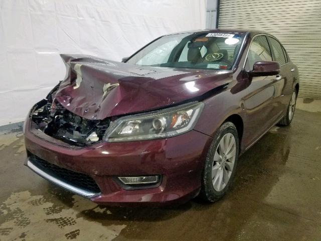 1HGCR3F87DA029949 - 2013 HONDA ACCORD EXL BURGUNDY photo 2