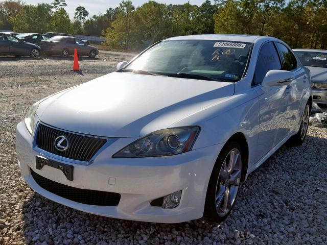 JTHBF5C28A5126031 - 2010 LEXUS IS 250 WHITE photo 2