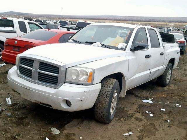 1D7HW48K86S593284 - 2006 DODGE DAKOTA QUA WHITE photo 2