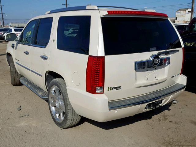 1GYFC43589R192304 - 2009 CADILLAC ESCALADE H CREAM photo 3