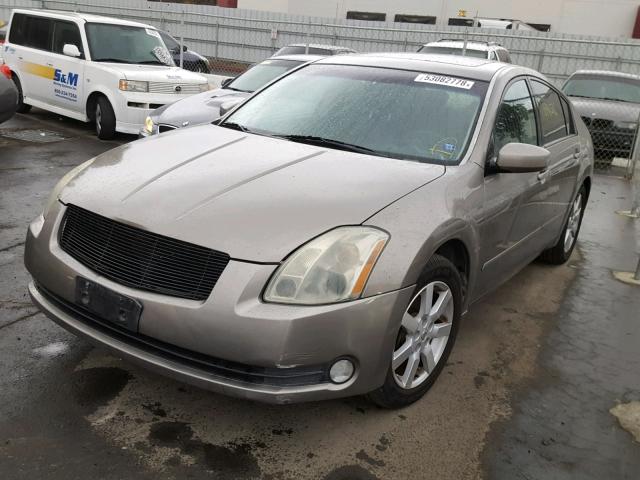 1N4BA41E36C830766 - 2006 NISSAN MAXIMA SE TAN photo 2