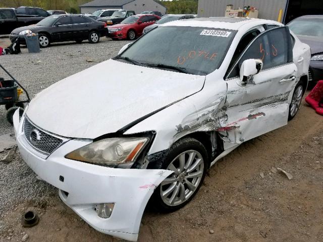 JTHCK262585018535 - 2008 LEXUS IS 250 WHITE photo 9