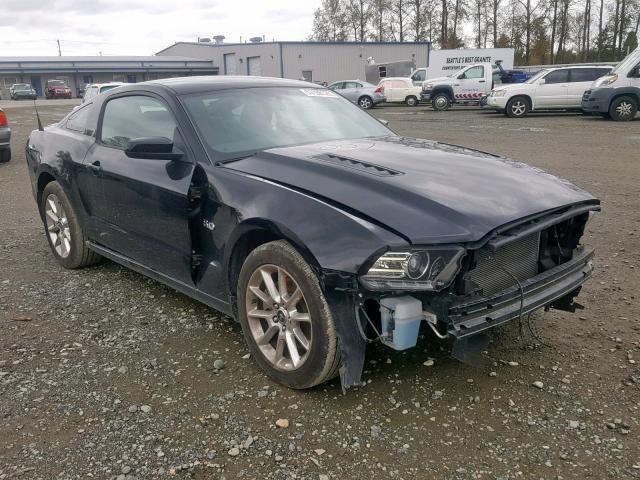 1ZVBP8CF6D5229226 - 2013 FORD MUSTANG GT BLACK photo 1