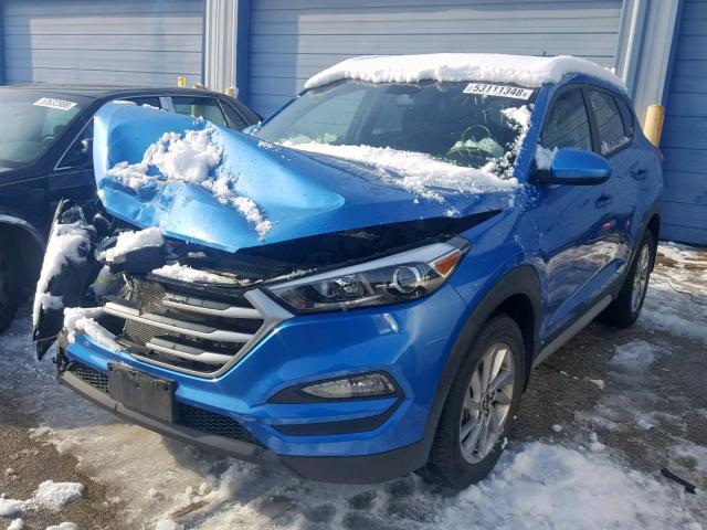 KM8J33A42HU505066 - 2017 HYUNDAI TUCSON LIM BLUE photo 2