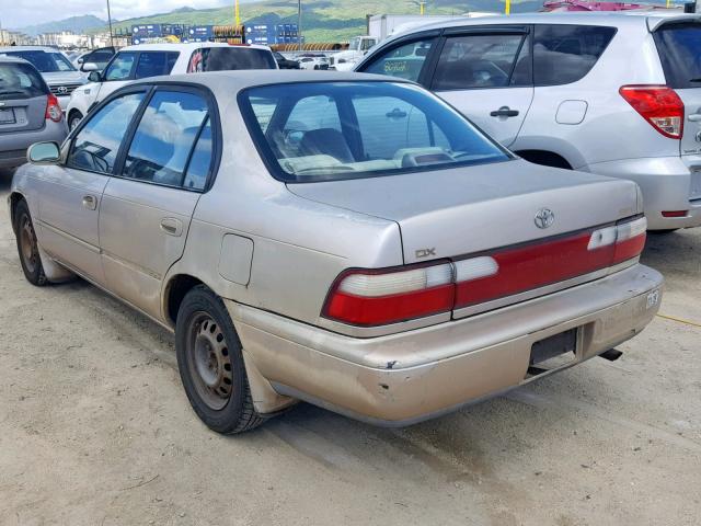 JT2BB02E0T0108370 - 1996 TOYOTA COROLLA DX GOLD photo 3