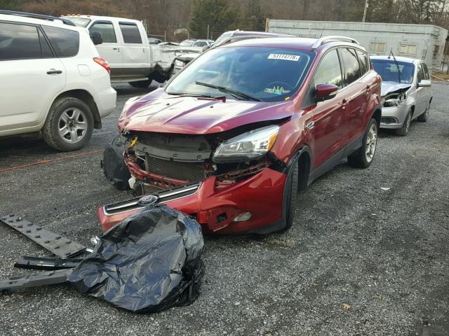 1FMCU9J92DUB05748 - 2013 FORD ESCAPE TIT MAROON photo 2