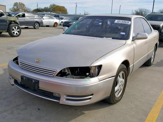 JT8BE12G3T0149187 - 1996 LEXUS ES 300 GOLD photo 2