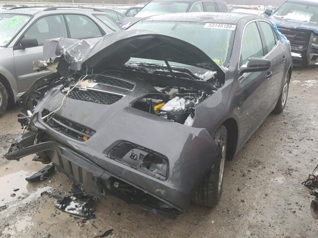 1G11B5SA6DF246645 - 2013 CHEVROLET MALIBU LS Сұр фото 2