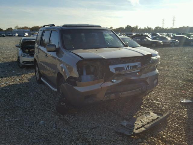 5FNYF3H75BB056153 - 2011 HONDA PILOT EXLN GOLD photo 1